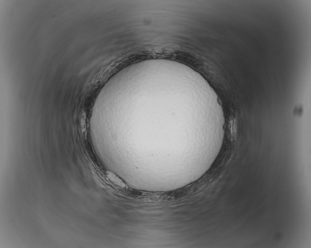 X0000114600963200911161350