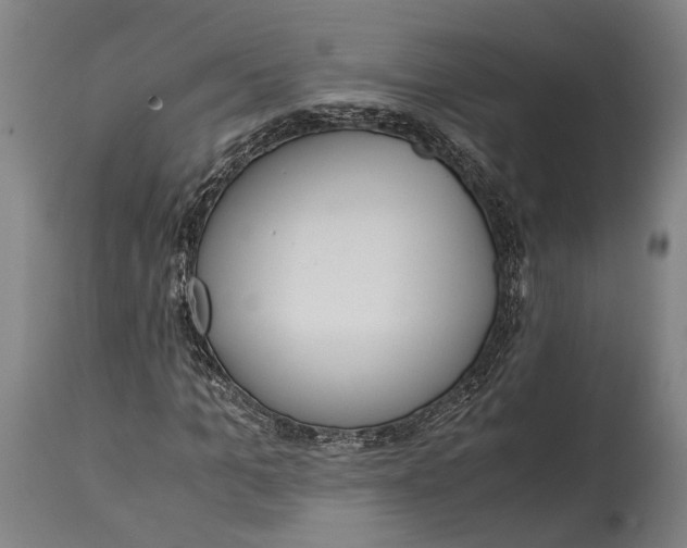 X0000114600965200911161350