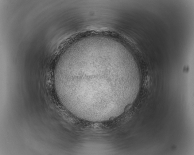 X0000114600966200911161350