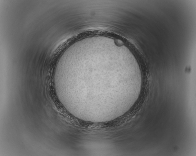 X0000114600967200911161350