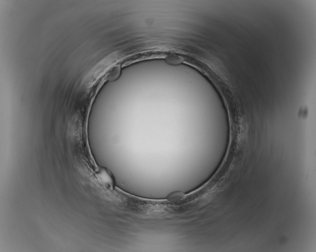 X0000114600969200911161350