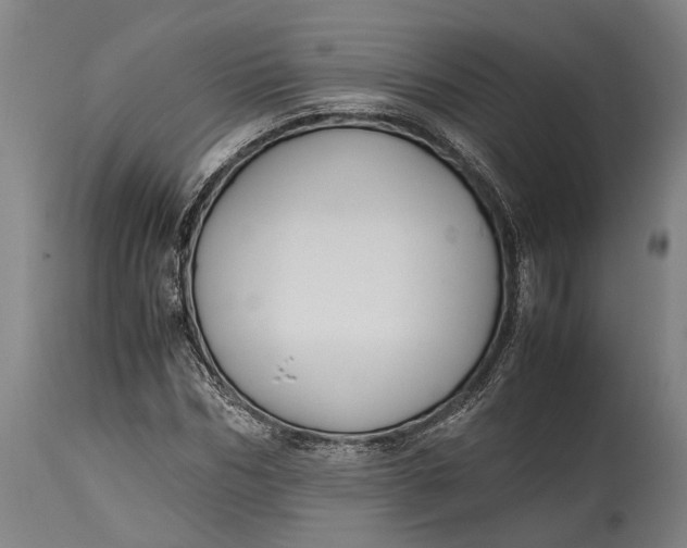 X0000114600970200911161350