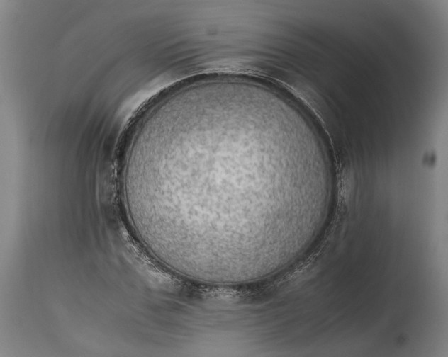 X0000114600971200911161350