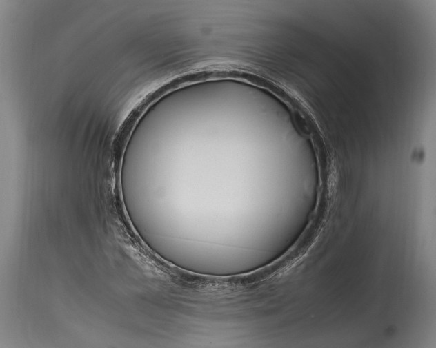 X0000114600973200911161350