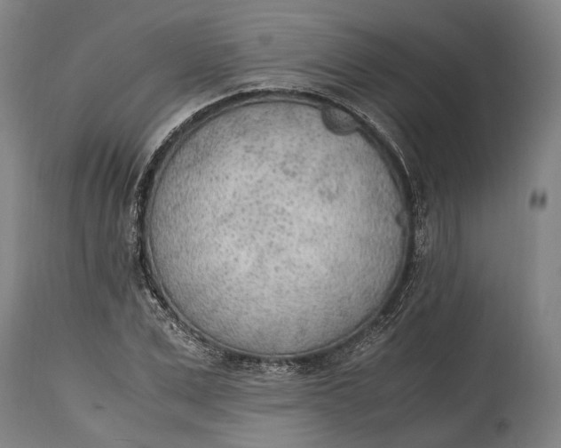 X0000114600975200911161350