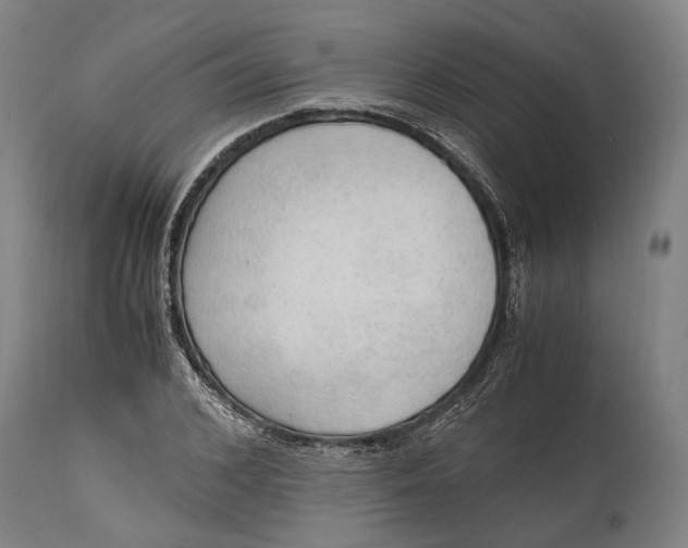 X0000114600976200911161350