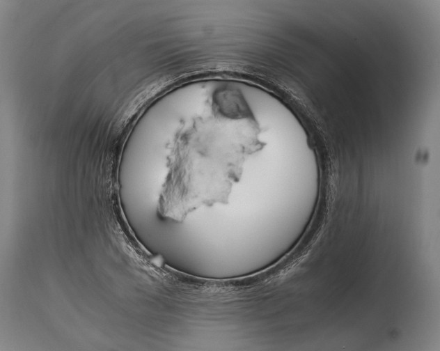 X0000114600977200911161350