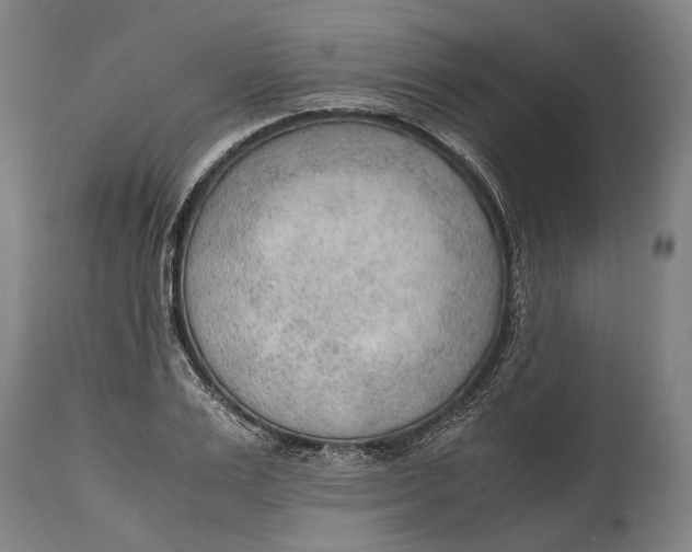 X0000114600983200911161350