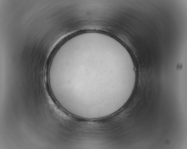 X0000114600984200911161350