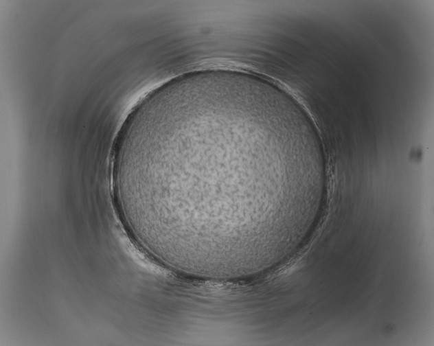 X0000114600987200911161350