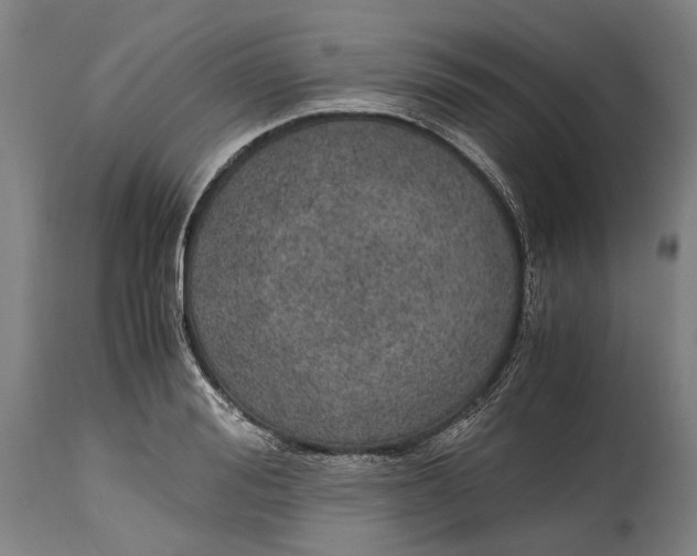 X0000114600988200911161350