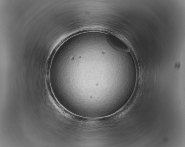 X0000114600989200911161350