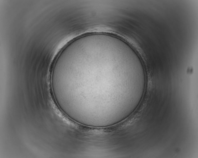 X0000114600990200911161350