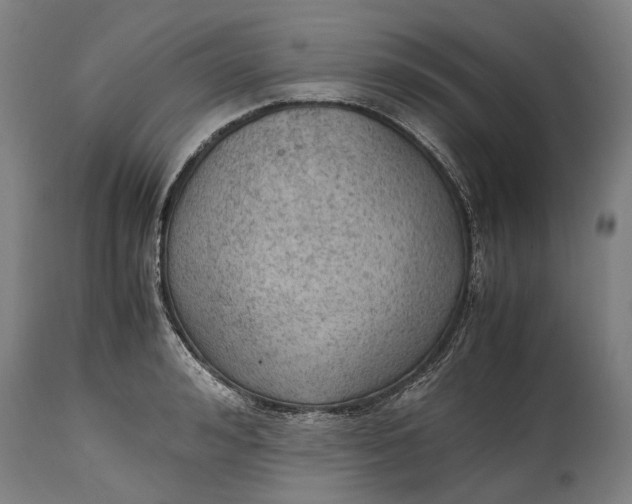 X0000114600992200911161350