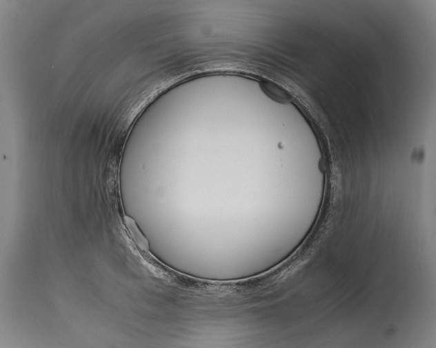 X0000114600993200911161350