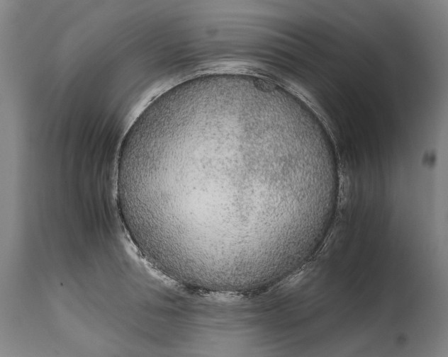 X0000114600994200911161350