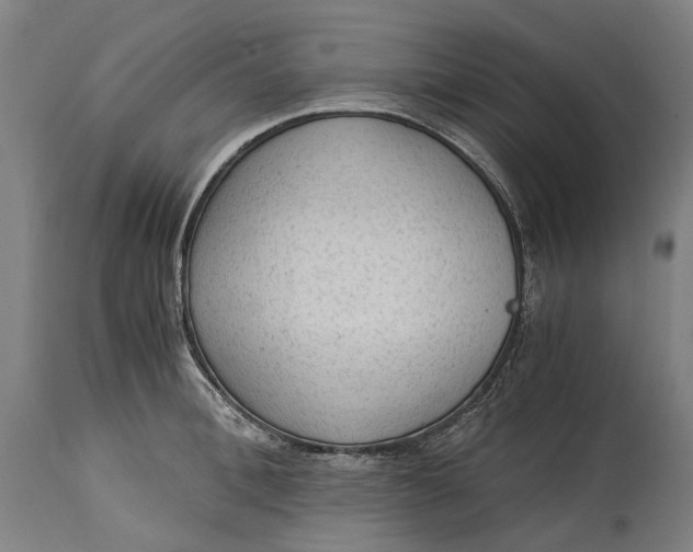 X0000114600996200911161350