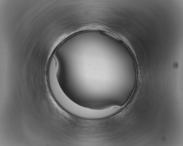 X0000114600997200911161350