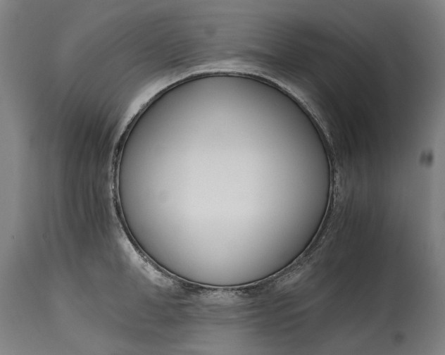 X0000114600998200911161350