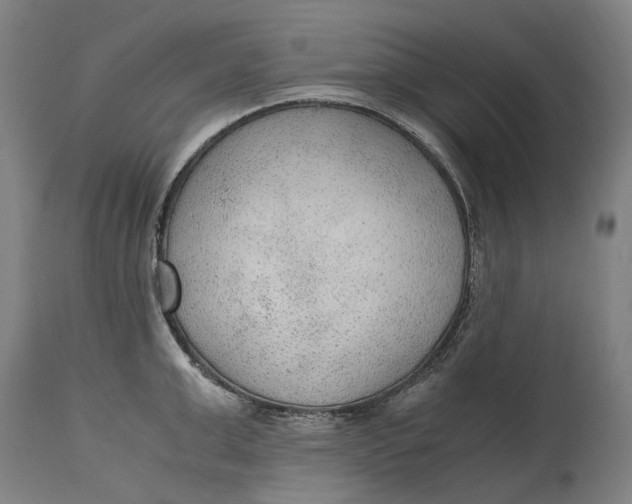 X0000114600999200911161350