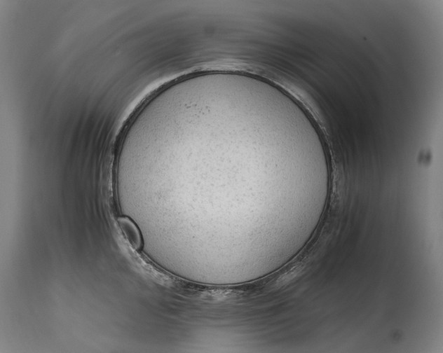 X0000114601000200911161349