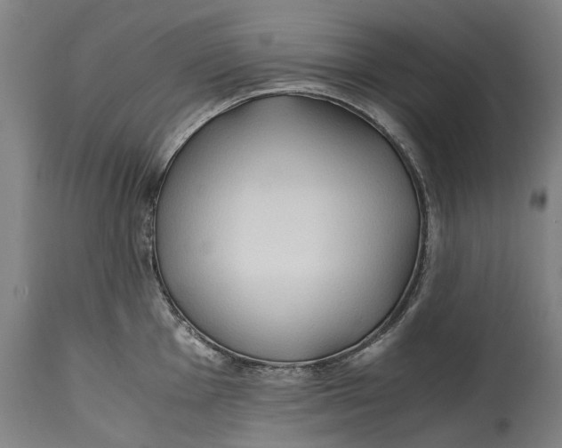 X0000114601001200911161349