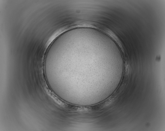 X0000114601002200911161349