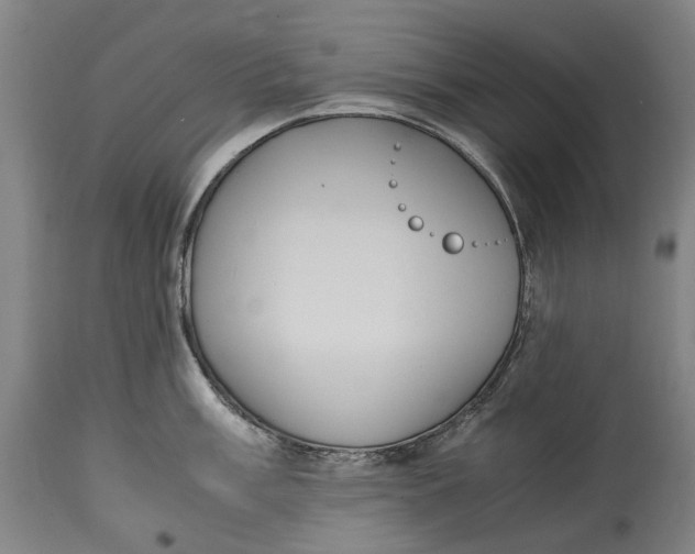 X0000114601003200911161349