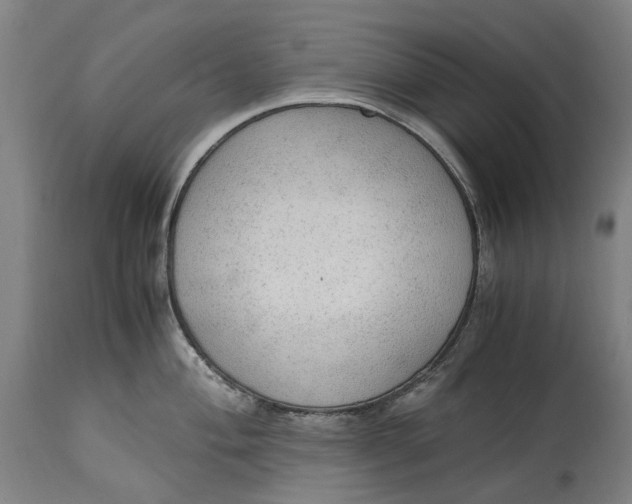 X0000114601004200911161349