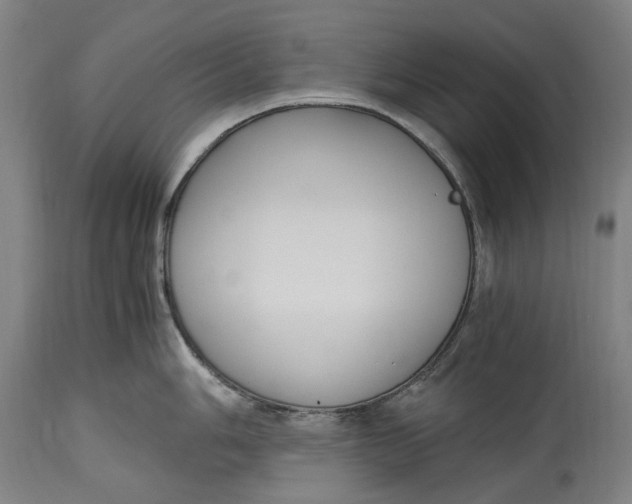 X0000114601006200911161349