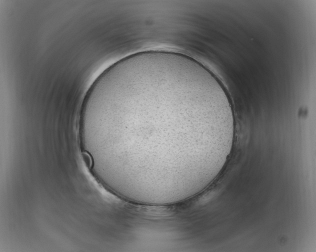 X0000114601007200911161349