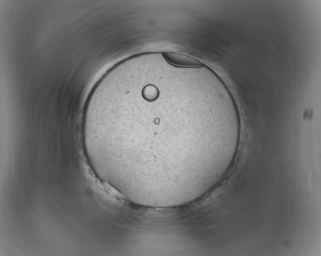 X0000114601008200911161349