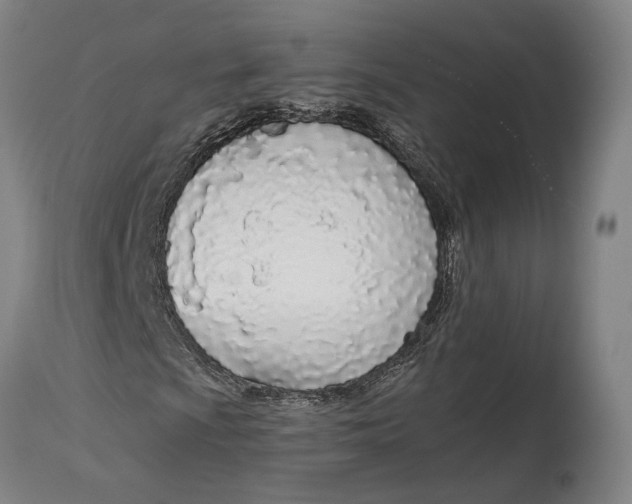 X0000114601009200911161349