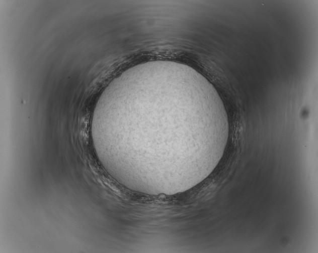 X0000114601010200911161349