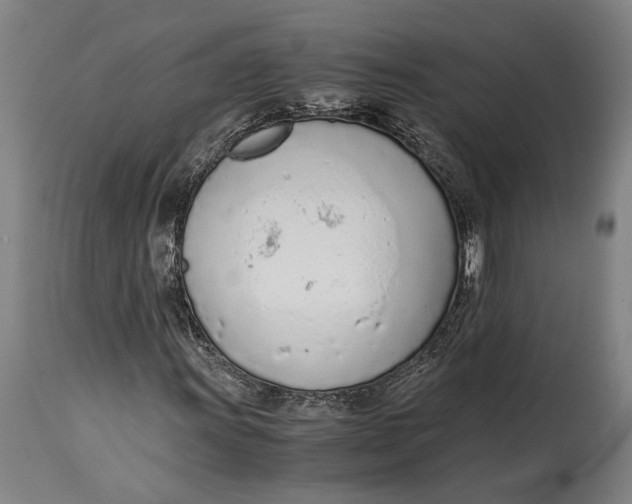 X0000114601011200911161349