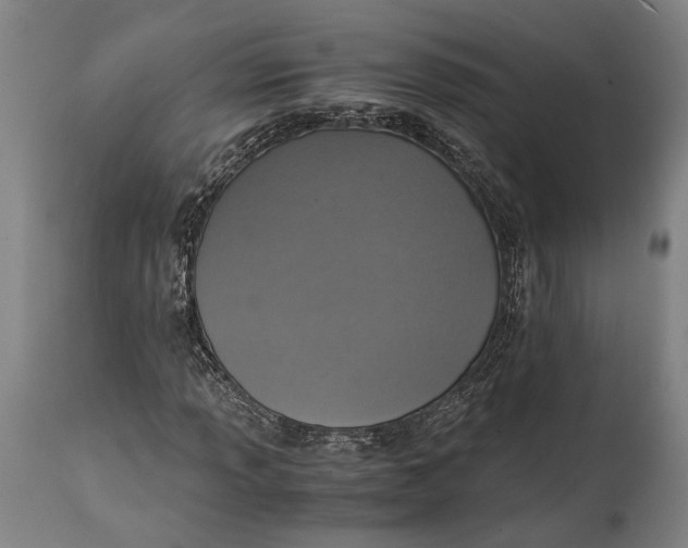 X0000114601013200911161349