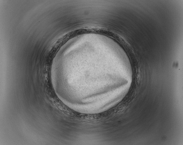 X0000114601016200911161349