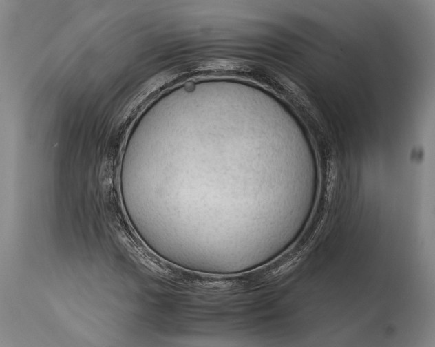 X0000114601017200911161349