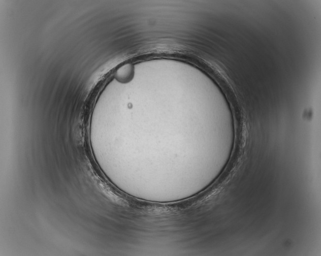 X0000114601018200911161349