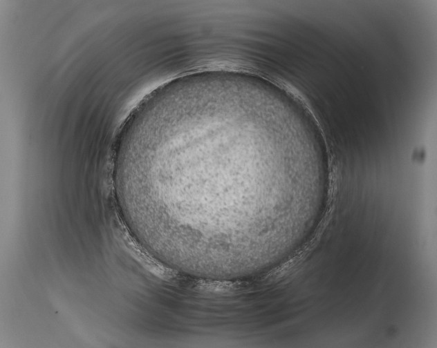 X0000114601019200911161349