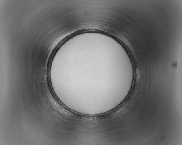 X0000114601020200911161349