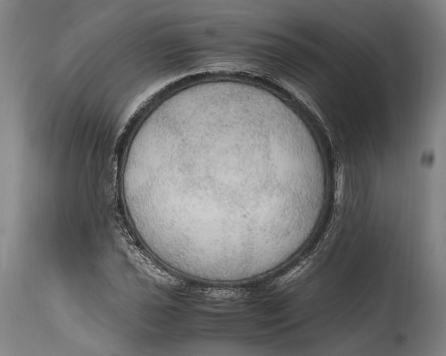 X0000114601021200911161349