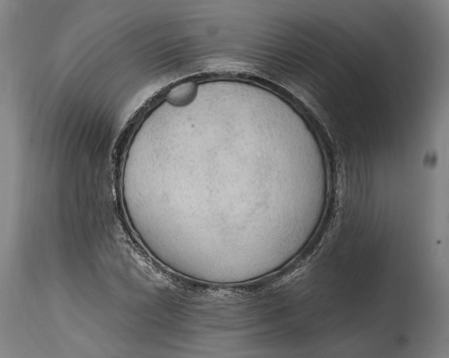 X0000114601022200911161349