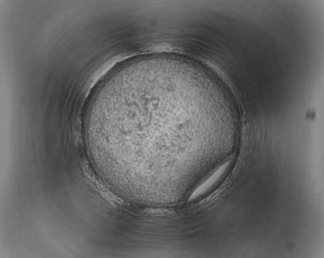 X0000114601023200911161349