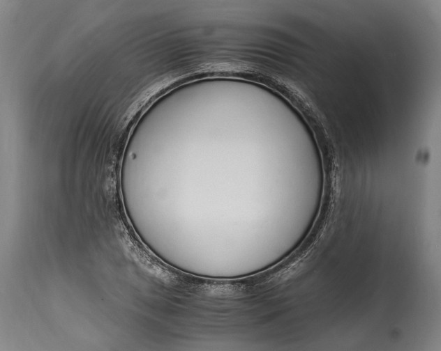 X0000114601025200911161349