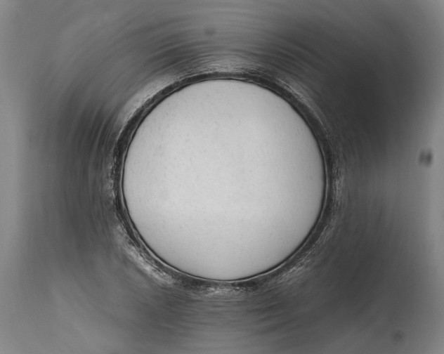 X0000114601026200911161349