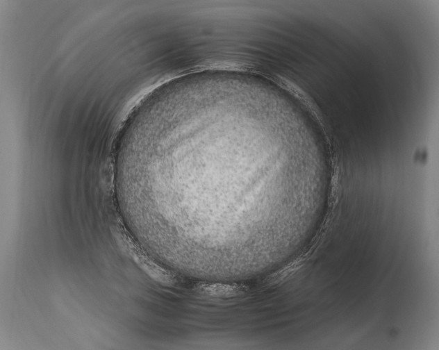 X0000114601027200911161349