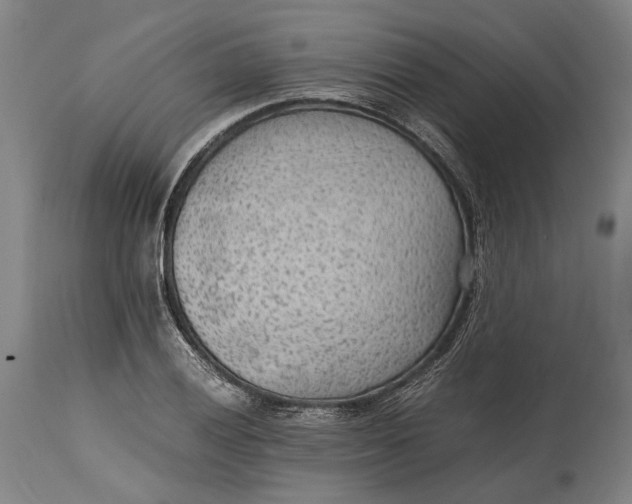 X0000114601028200911161349