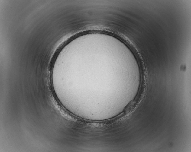 X0000114601029200911161349