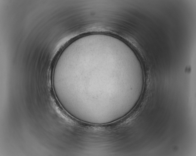 X0000114601030200911161349